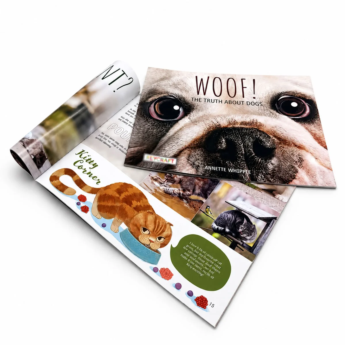 Custom landscape perfect bound book with section sewn binding, full-color printing and premium laminated cover.